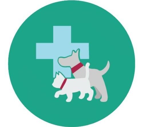 คลินิคแมว ใกล้ฉัน